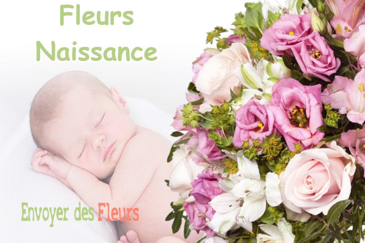 lIVRAISON FLEURS NAISSANCE à FOSSE